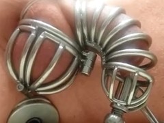 New Cock and Ball Cage