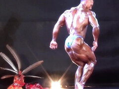 ASIAN MUSCLEBULL GUEST POSING