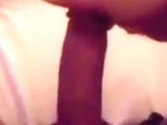 fucking and sucking bareback