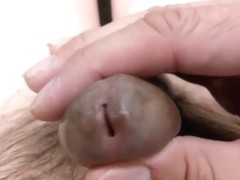 From flaccid to erect - No Cum