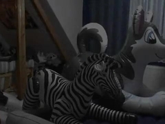 Inflatable zebra ride