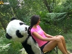 Molly is fucked by a horny panda right in the woods