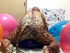 cat humping on balloon