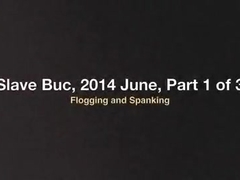 Villein Buc, June 2014, Part 1 of three