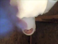 Upside Down Self-Love in the Attic (Weird Visual Illusion)