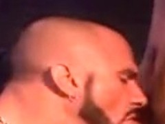 Cock In The Rear Pocket