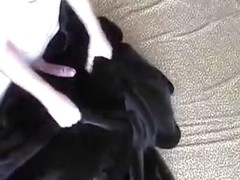 Hard cum on a beautiful mink
