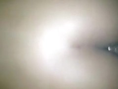 Nao Aguentou O Cavalo