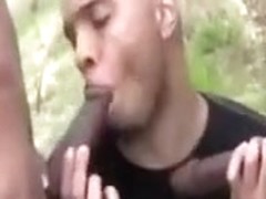 Two Big Black Cocks One Tight White Ass