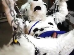 Fursuit sex 113