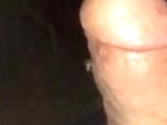 My dick for the mosquitoes