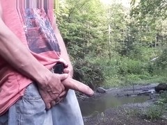 Edging again at my little oasis #4