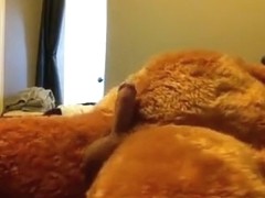 Some greater quantity pleasure