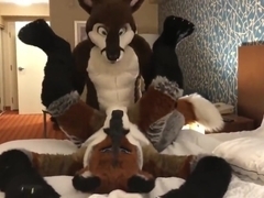 Two Gay Furries Fucking 3