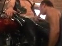 Dos Bears Grandes en un Taller