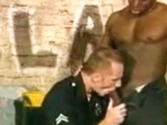 Interracial Interrogation