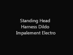 Standing Head Harness Sex Toy Impalement Electro