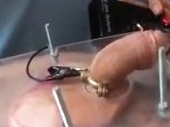 Squashed balls with elec cock torture cbt