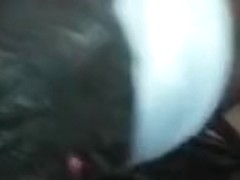 slobbering on my wang once more