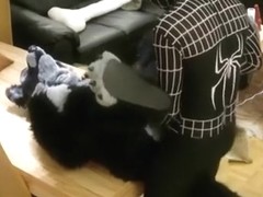 Wolf on the table with Venom