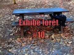 Forest's exhibe #10