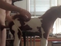 Hottest male in crazy homo adult scene