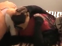 Speedwolf giving SaberClaw a BJ