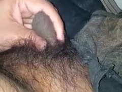 PLAY CUM COLLECTIONS.two