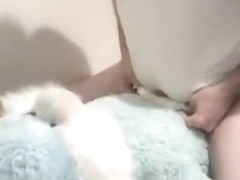 Plush Bunny Humping and Wetting