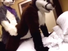 Murrsuit Sex Compilation