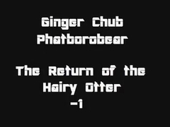 Ginger Chub: Return of Hirsute Otter-1