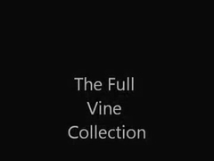 My Vine Full Collection 420