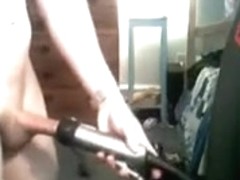 another bull at the farm